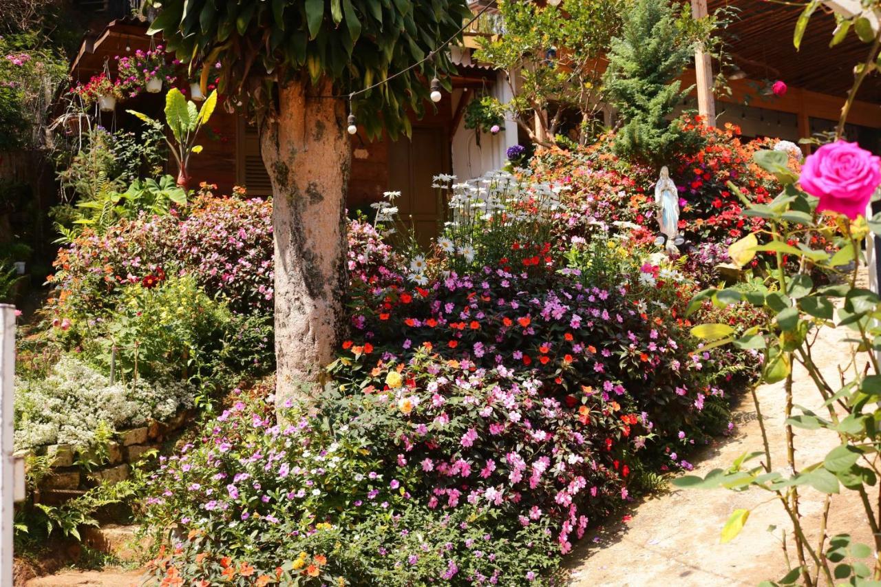 Soul Pnb Homestay Dalat Exteriér fotografie