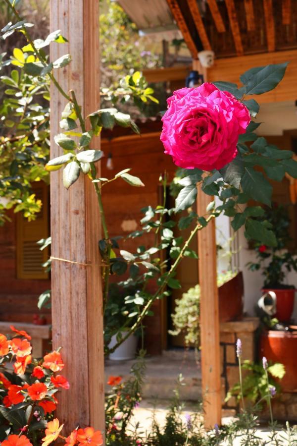 Soul Pnb Homestay Dalat Exteriér fotografie