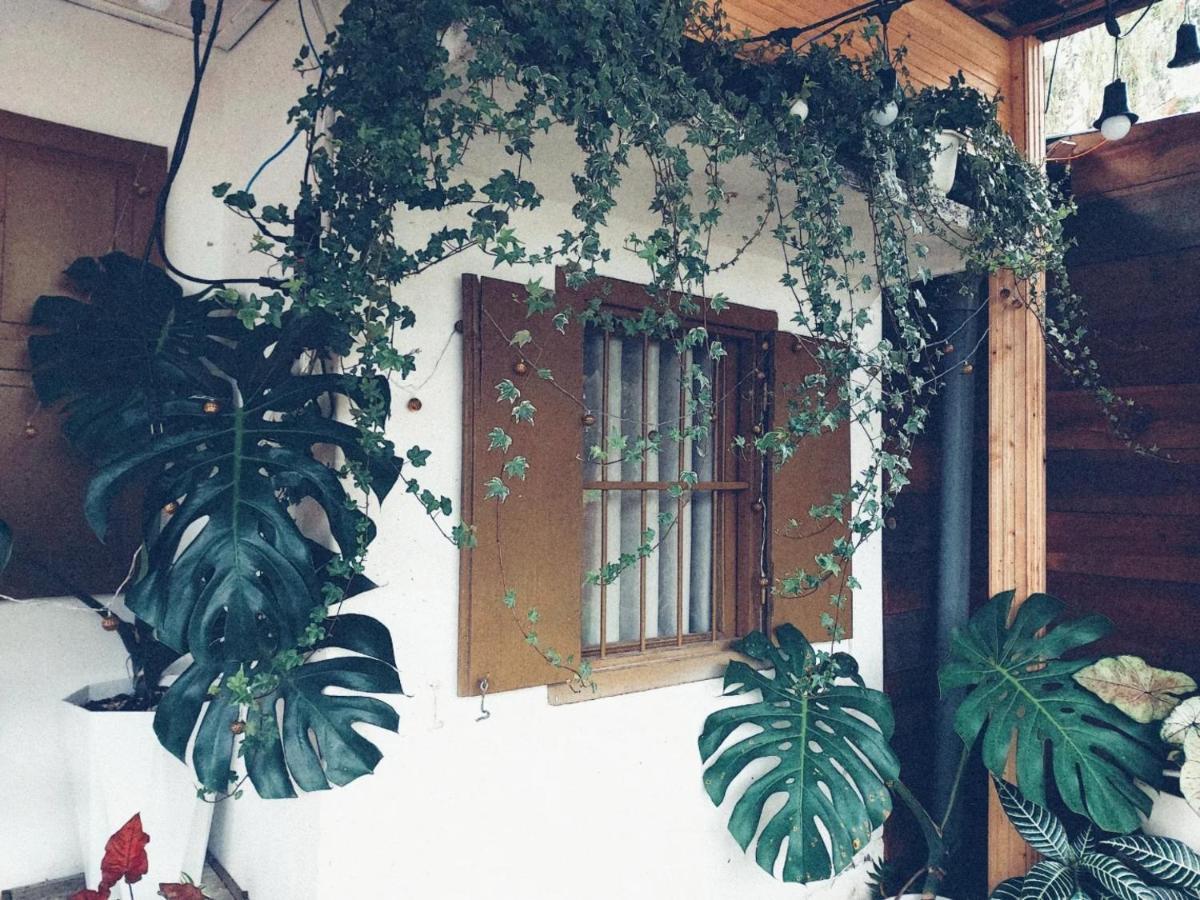 Soul Pnb Homestay Dalat Exteriér fotografie