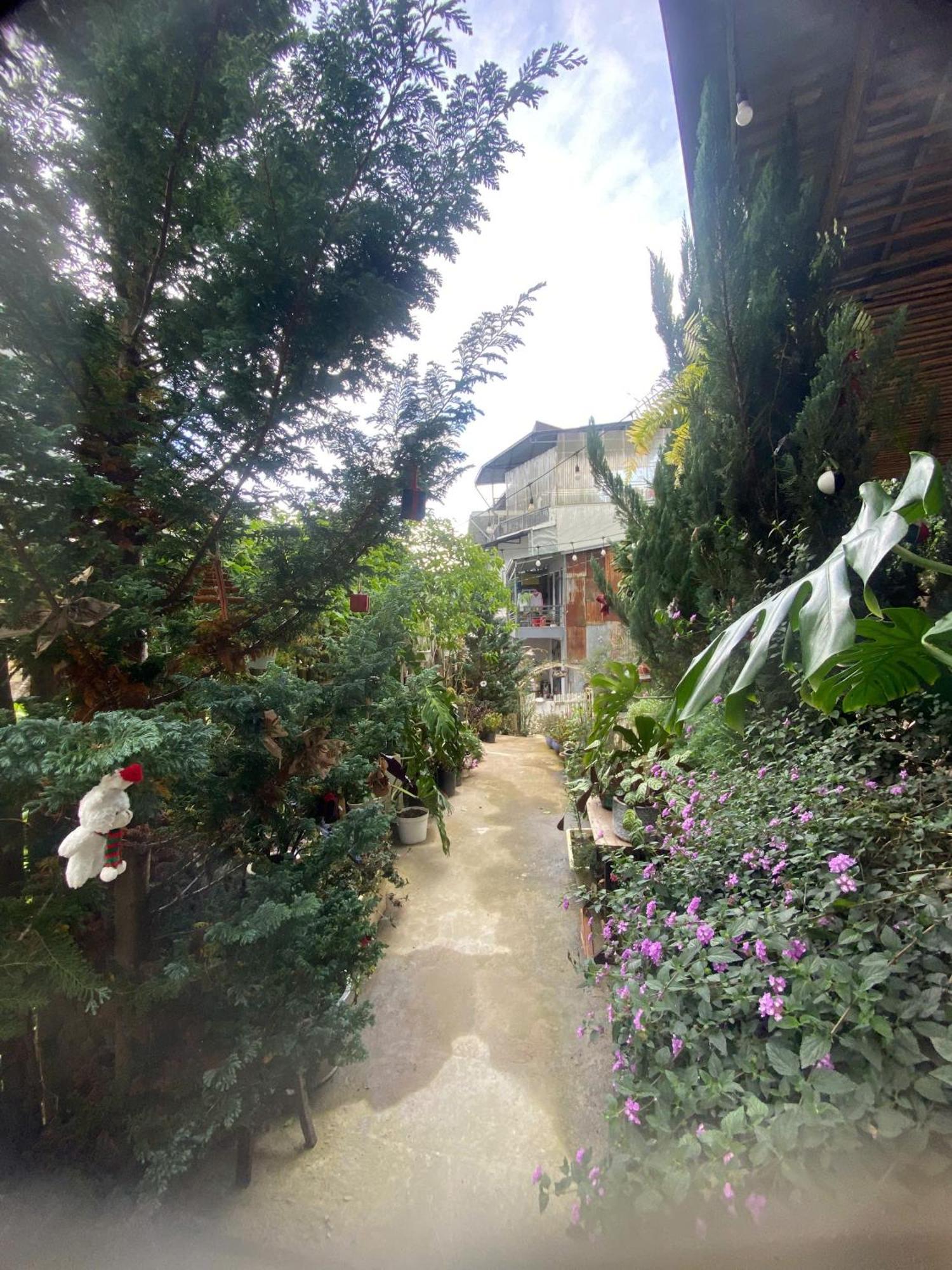 Soul Pnb Homestay Dalat Exteriér fotografie